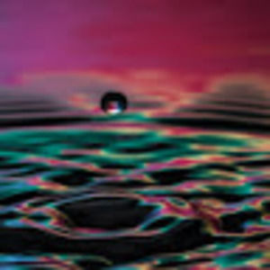 Meet your Posher, Ratrouta